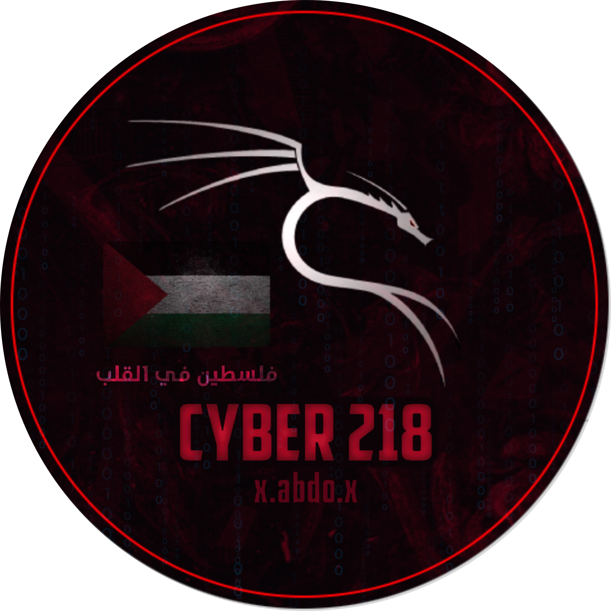 Cyber 218